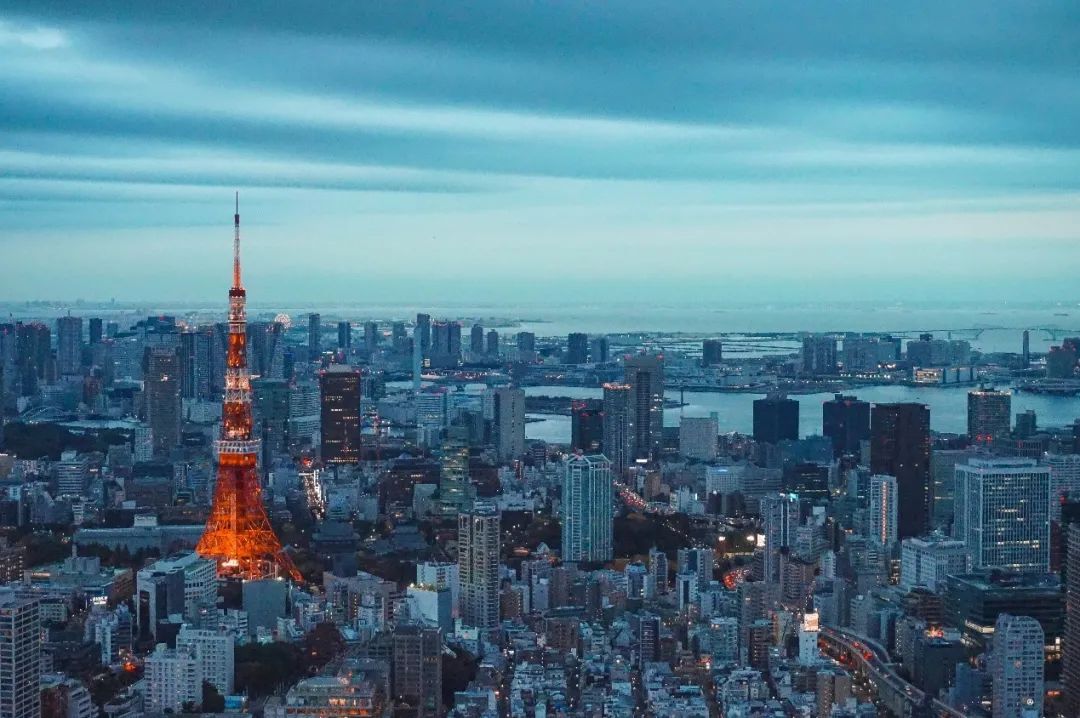 城市细胞